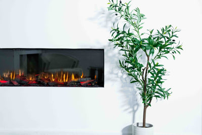 Illusion Velisse Aura 1650 beside an olive tree